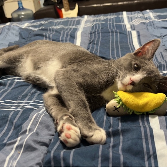 Meet your Posher, Ryan - Picture 1 of 1